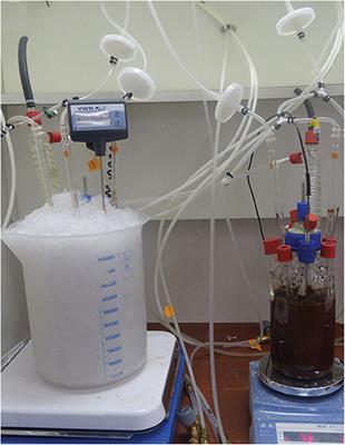 Cultivation With Powdered Meteorite (NWA 1172) as the Substrate Enhances Low-Temperature Preservation of the Extreme Thermoacidophile Metallosphaera sedula